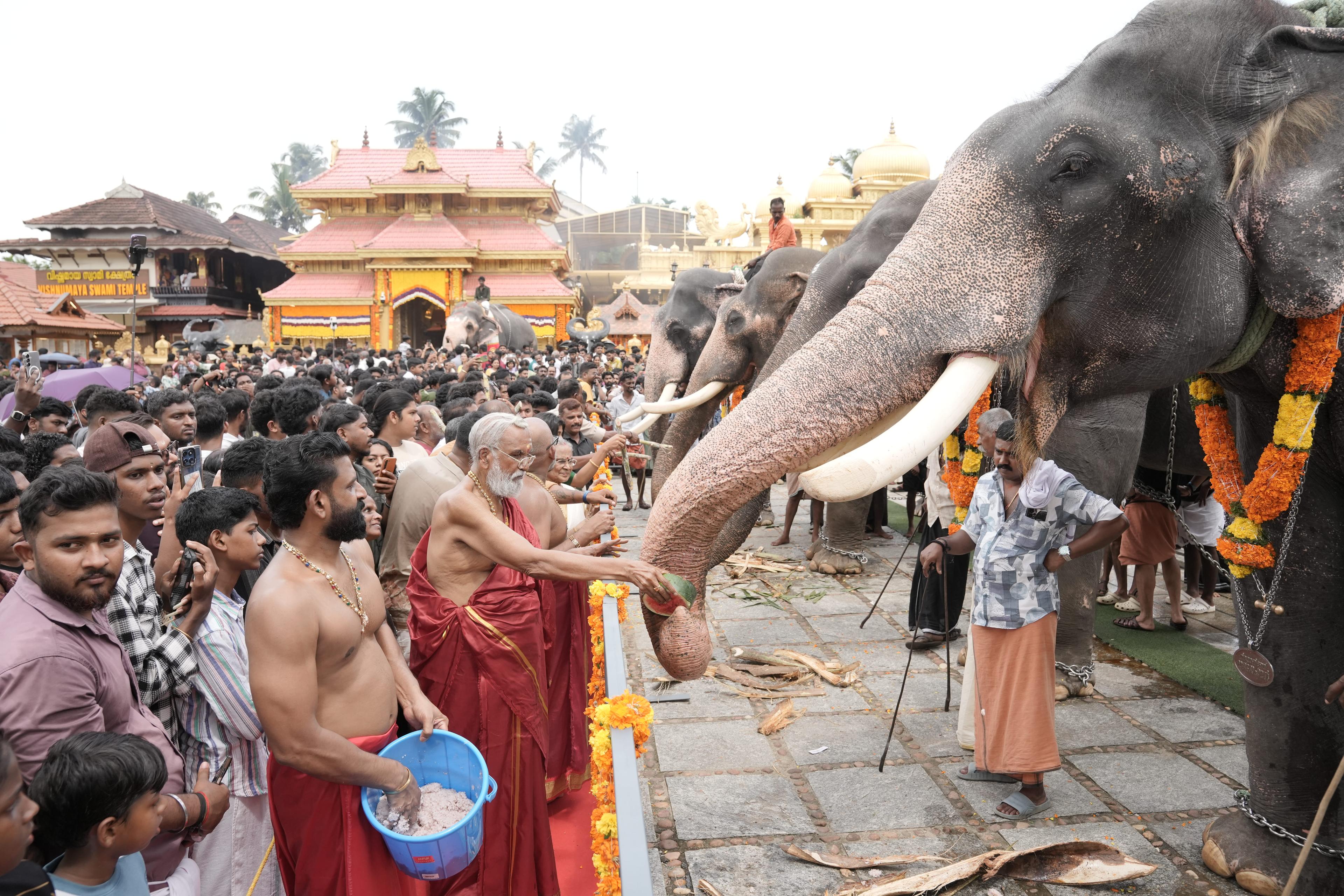 Kanadikavu Temple Ceremony
